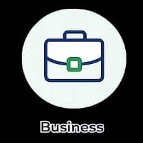 Business icon